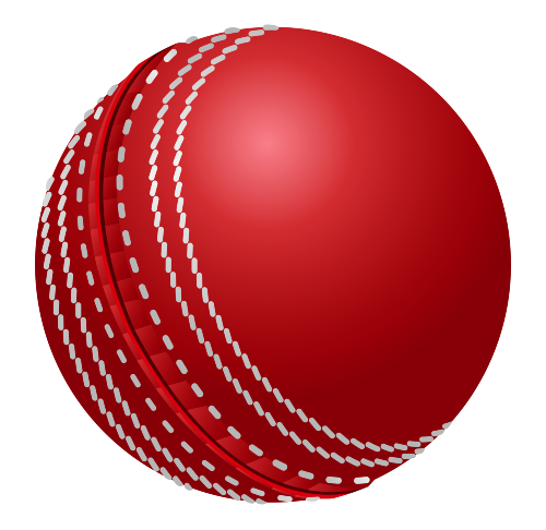 Cricket Sports